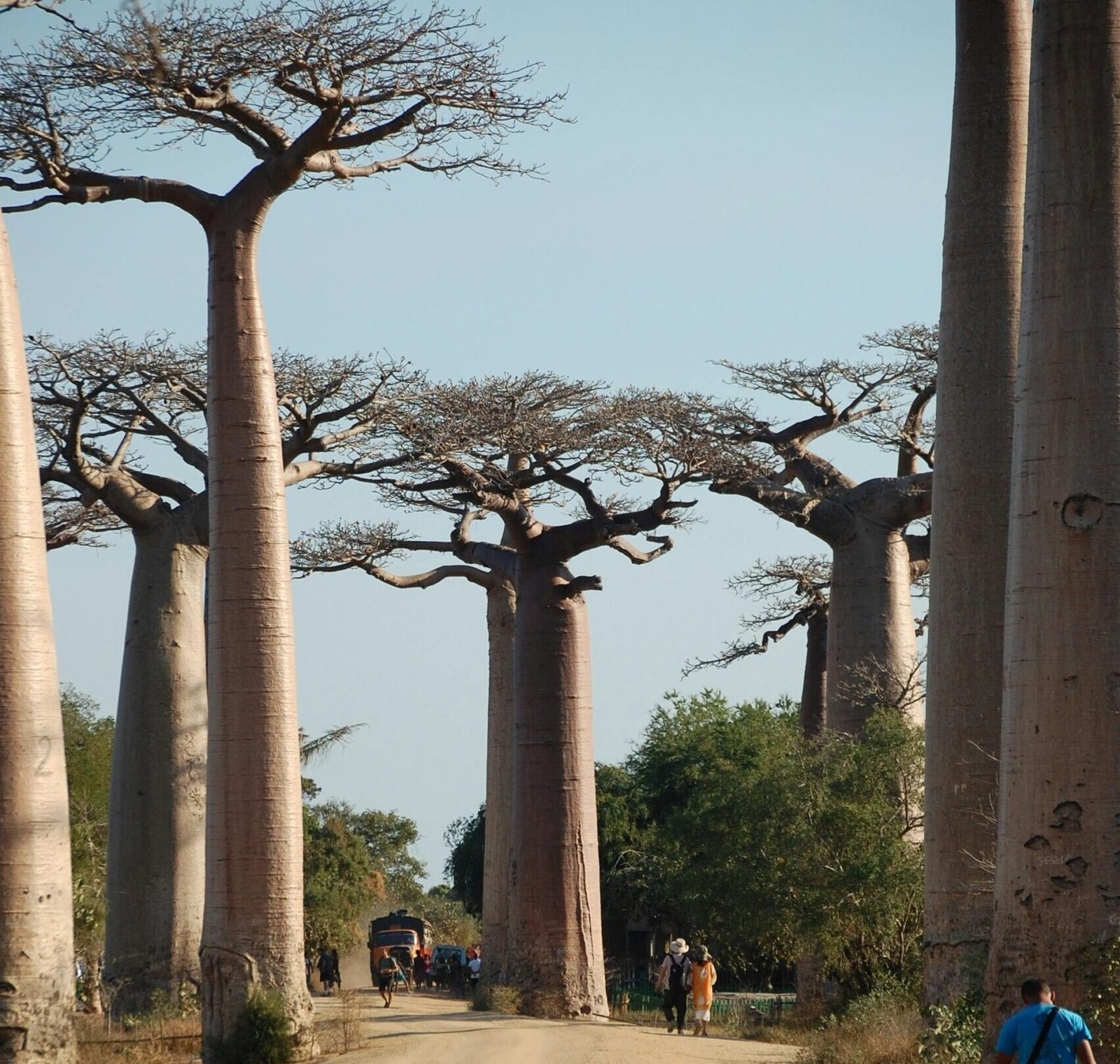 madagascar-inspiration-voyage