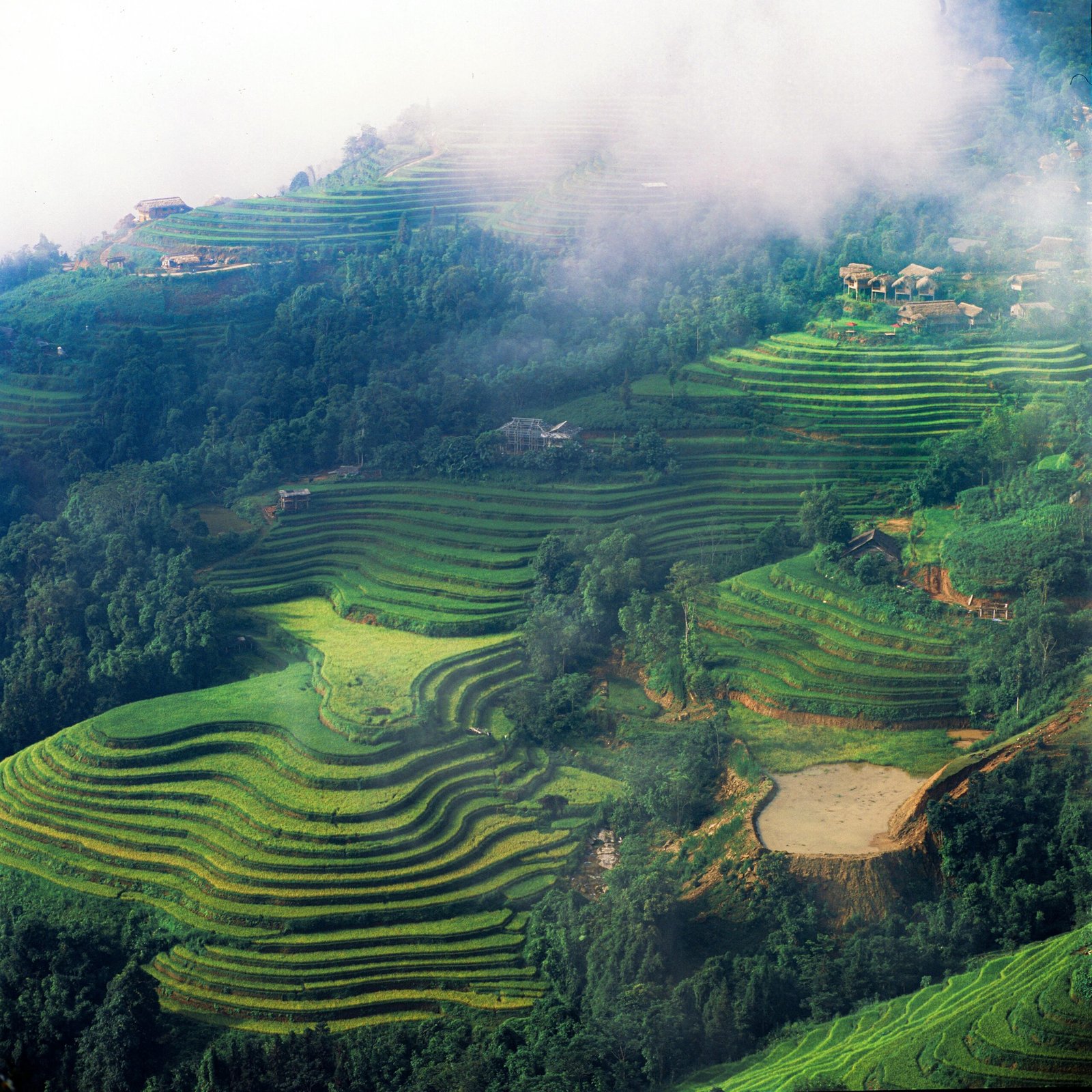 vietnam-inspiration-voyage-rizières