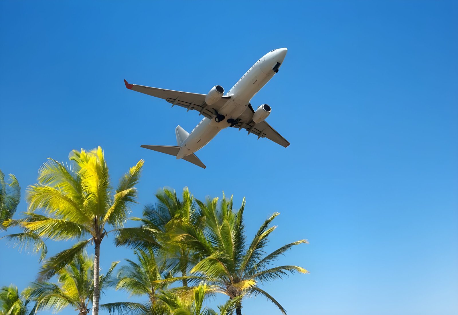 Lire la suite à propos de l’article Le Stopover : L’art de voyager autrement